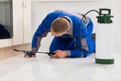 A technician performing pest control services in Peekskill NY - Garrie Pest Control