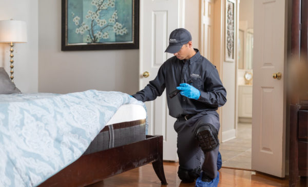 Bed Bug inspection in Peekskill New York Garrie Pest Control