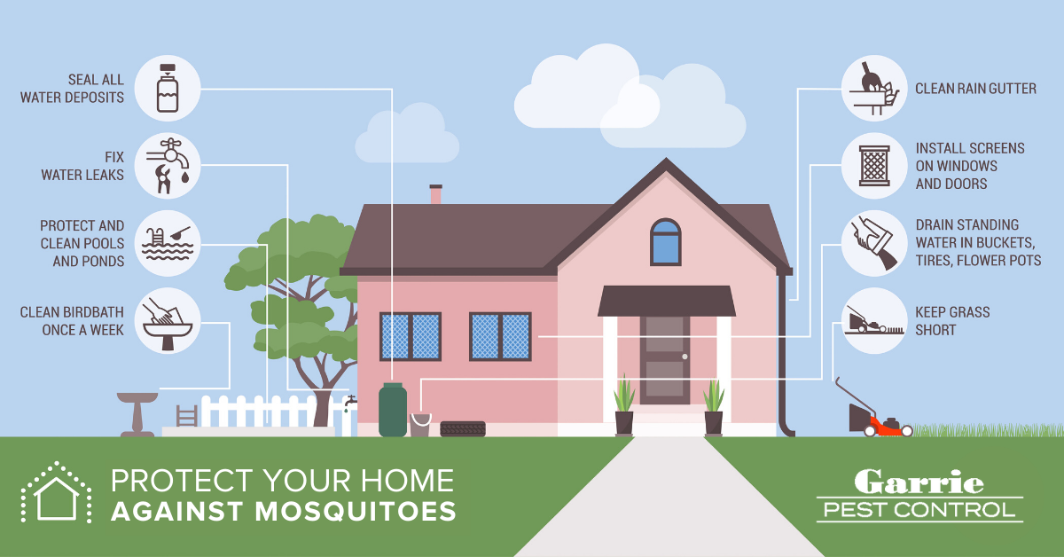 How to protect your home from mosquitoes in Peekskill NY - Garrie Pest Control