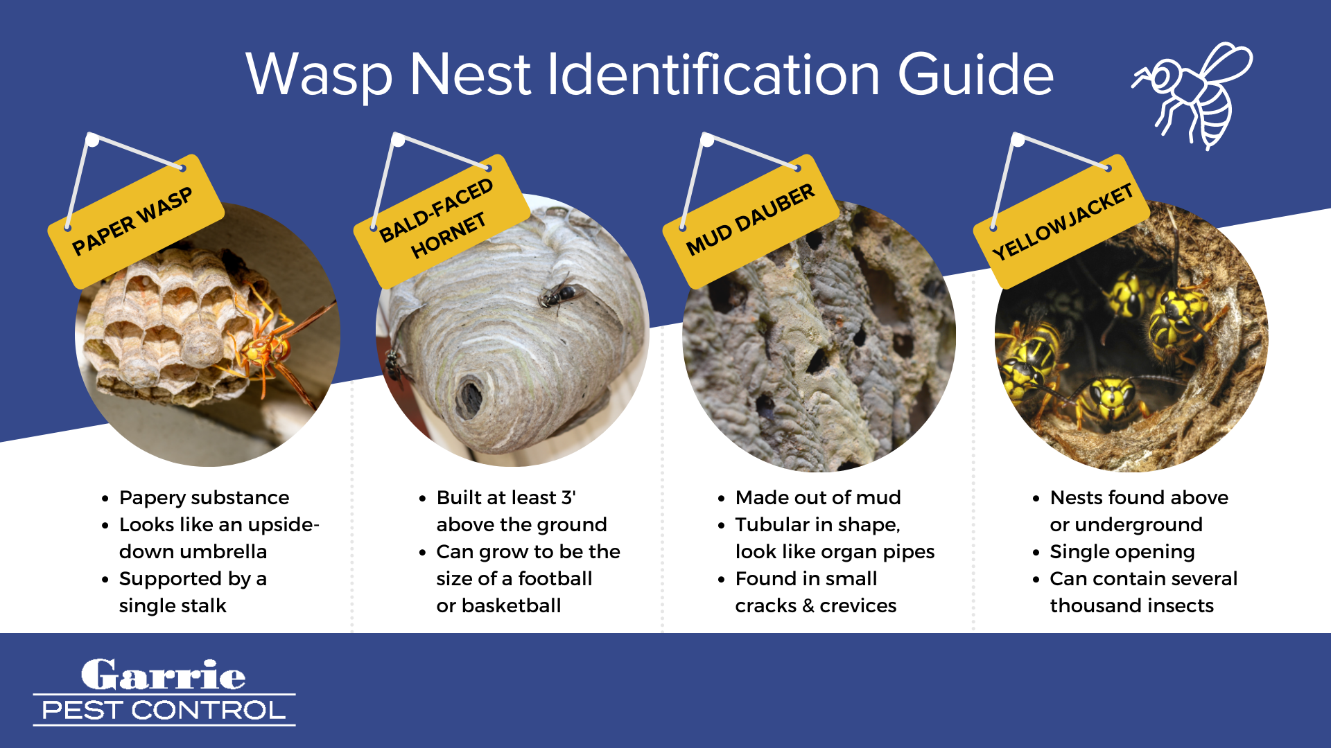 Wasp nest identification in Peekskill NY - Garrie Pest Control