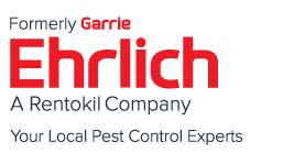 Garrie Pest Control- Pest Control and Exterminator Services in New York
